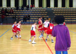 Lematch des poussins