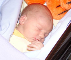 Bienvenue  NOAH