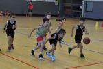 Photo albulle/data/photos/2014-2015/TOURNOI LAVAUR (photos BILLON)/BCV-2016-Billon- (165).jpg