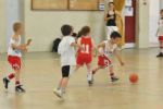 Photo albulle/data/photos/2012-2013/Tournoi du BCV/Babys/PHOTOS LAVAUR 2013 373.jpg
