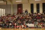Photo albulle/data/photos/2007-2008/bcv-colomiers - public/public-DSC_1155.JPG